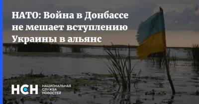 Александр Винников - Джо Байден - НАТО: Война в Донбассе не мешает вступлению Украины в альянс - nsn.fm - США - Украина - Киев