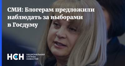 СМИ: Блогерам предложили наблюдать за выборами в Госдуму - nsn.fm - респ. Татарстан