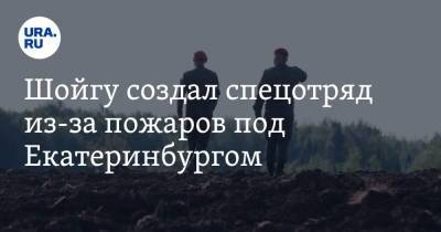 Сергей Шойгу - Шойгу создал спецотряд из-за пожаров под Екатеринбургом - ura.news - Россия - Екатеринбург - Свердловская обл.