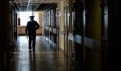 Около половины осужденных за пытки силовиков получили условный срок - newizv.ru - респ. Марий Эл