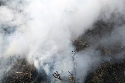 В Башкирии действуют четыре очага лесных пожаров - ufacitynews.ru - Башкирия - район Баймакский