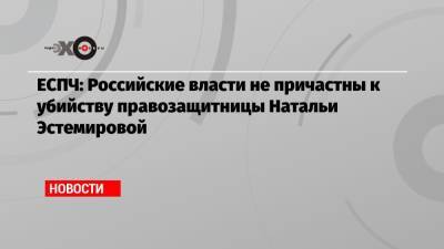 Наталья Эстемирова - ЕСПЧ: Российские власти не причастны к убийству правозащитницы Натальи Эстемировой - echo.msk.ru - Россия