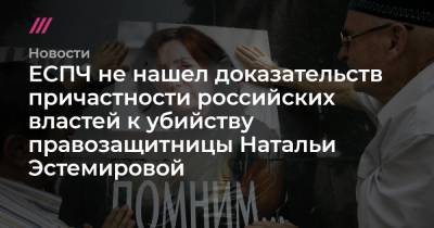 Наталья Эстемирова - ЕСПЧ не нашел доказательств причастности российских властей к убийству правозащитницы Натальи Эстемировой - tvrain.ru - Россия