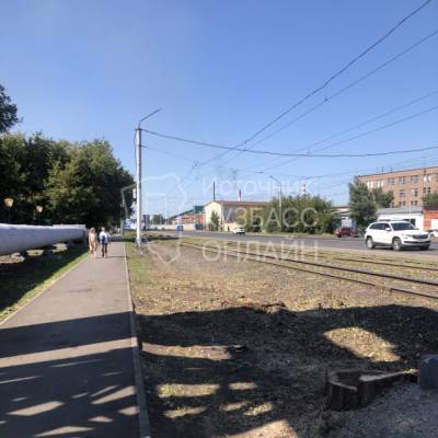 Власти объяснили, зачем на Советском проспекте в Кемерове срубили ещё деревья - gazeta.a42.ru - Кемерово