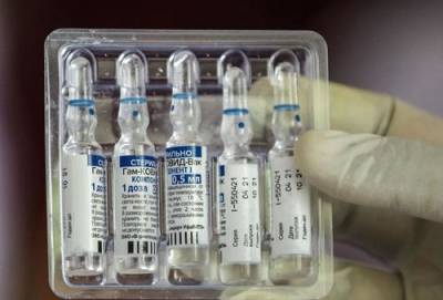 В РФПИ заявили, что в Словакии использовали всю имеющуюся вакцину «Спутник V» из поставленной партии - argumenti.ru - Россия - Словакия