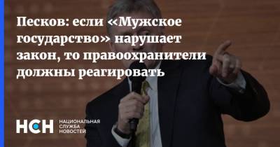 Дмитрий Песков - Владислав Поздняков - Песков: если «Мужское государство» нарушает закон, то правоохранители должны реагировать - nsn.fm