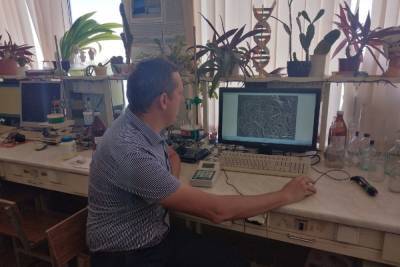 Тульские ученые изобрели биосенсорный анализатор степени загрязнения воды органическими соединениями - tula.mk.ru - Тульская обл.