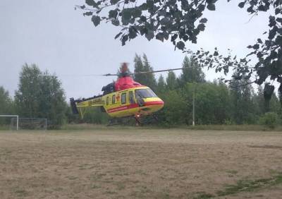 В Рязань на вертолете санавиации доставили трехлетнего мальчика - ya62.ru - Рязань - с. Фото