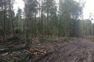 Под Рузой выявили 200 участков незаконной вырубки леса - versia.ru - Московская обл. - городское поселение Рузский
