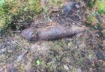 Еще один снаряд времен Второй мировой обнаружили в Бабаевском районе - vologda-poisk.ru - Вологда