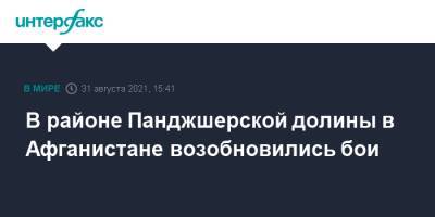 В районе Панджшерской долины в Афганистане возобновились бои - interfax.ru - Москва - Россия - Афганистан - Талибан