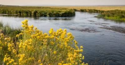 Николай Кульбида - Из-за глобального потепления Украина может остаться без зимы — директор Укргидрометцентра - delo.ua - Украина