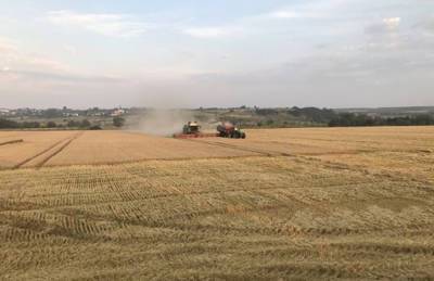 Хмельницкая область — лидер по урожайности ранних зерновых - agroportal.ua - Украина - Хмельницкая обл.
