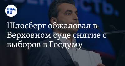Лев Шлосберг - Шлосберг обжаловал в Верховном суде снятие с выборов в Госдуму - ura.news - Москва - Россия