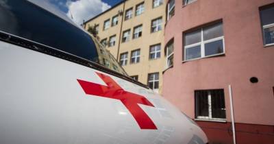 В Черняховске школьника искусали разъярённые осы, вылетевшие из сбитого гнезда - klops.ru - Черняховск