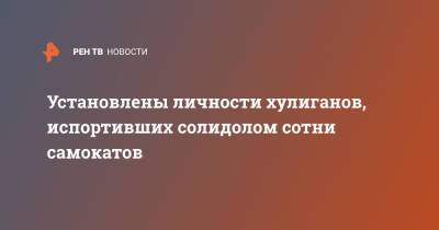 Установлены личности хулиганов, испортивших солидолом сотни самокатов - ren.tv - Москва
