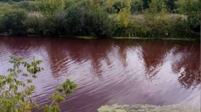 Чиновники заявили об отсутствии завода рядом с красным прудом в Воронежской области - vestivrn.ru - Воронежская обл. - Экология