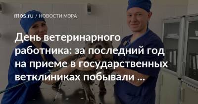 Сергей Собянин - День ветеринарного работника: за последний год на приеме в государственных ветклиниках побывали около 400 тысяч питомцев - mos.ru - Москва - Россия