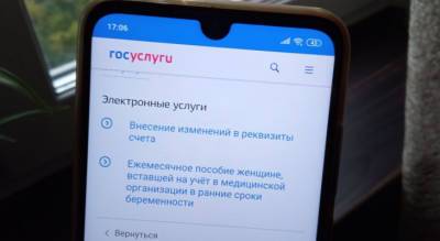 Жители Чувашии стали чаще пользоваться «Госуслугами» - pg21.ru - Башкирия - респ. Чувашия - Самарская обл.