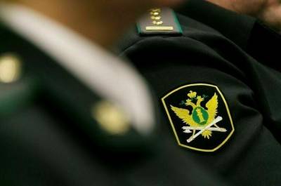 Более 16 тысяч москвичей в этом году стали невыездными из-за неуплаты алиментов - pnp.ru - Москва - Россия