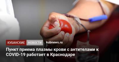 Пункт приема плазмы крови с антителами к COVID-19 работает в Краснодаре - kubnews.ru - Краснодарский край - Краснодар
