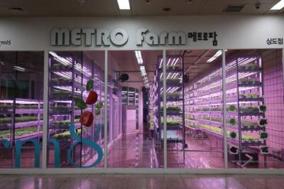 В Сеуле выращивают овощи на станциях метро - agroportal.ua - Украина - Сеул