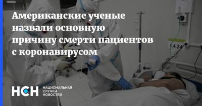 Американские ученые назвали основную причину смерти пациентов с коронавирусом - nsn.fm - США - Нью-Йорк