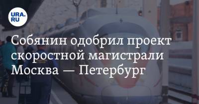 Владимир Путин - Сергей Собянин - Собянин одобрил проект скоростной магистрали Москва — Петербург. Путь займет 2,5 часа - ura.news - Москва - Россия - Санкт-Петербург - Екатеринбург - Тюмень - Челябинск