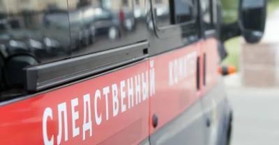 СКР подозревает экс-главу «Российского Красного Креста» в особо крупном мошенничестве - runews24.ru - Москва - Россия - Московская обл.