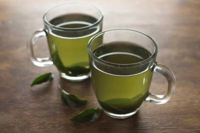 Названы четыре полезных свойства зеленого чая - lenta.ua - Украина