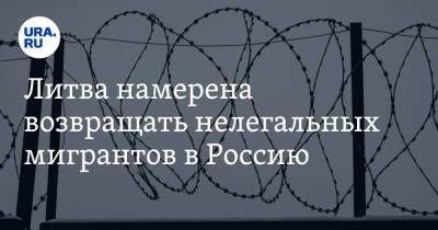 Мантас Адоменас - Литва намерена возвращать нелегальных мигрантов в Россию - ura.news - Россия - Белоруссия - Ирак - Литва - Минск