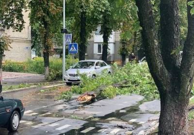 Алексей Кулемзин - На Донецк обрушился ураган - real-vin.com - Украина - Донецк