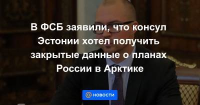 В ФСБ заявили, что консул Эстонии хотел получить закрытые данные о планах России в Арктике - news.mail.ru - Россия - Санкт-Петербург - Эстония