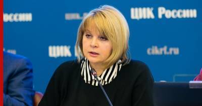 Элла Памфилова - Ограничений по количеству наблюдателей на участках не будет, заявила Памфилова - profile.ru - Россия