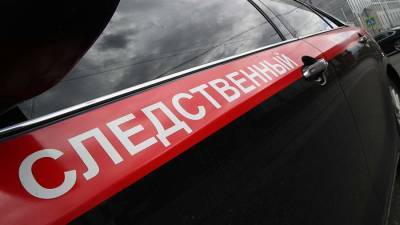 СК возбудил дело после обнаружения двухлетней девочки на улице в Подмосковье - iz.ru - Россия - Израиль - Московская обл.