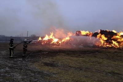 В Ивановской области ночью сгорело сено на большой площади - mkivanovo.ru - Ивановская обл.