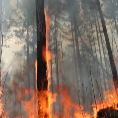 Площадь лесного пожара у якутского села Кылайы увеличилась за сутки до 2,5 тыс га - radiomayak.ru - Россия - респ. Саха - Хабаровск