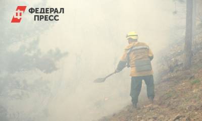 На юге Челябинской области ликвидировали новый лесной пожар - fedpress.ru - Челябинская обл. - район Брединский