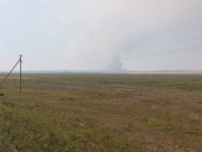 На юге Челябинской области вновь потушили крупный природный пожар - u24.ru - Россия - Челябинская обл.