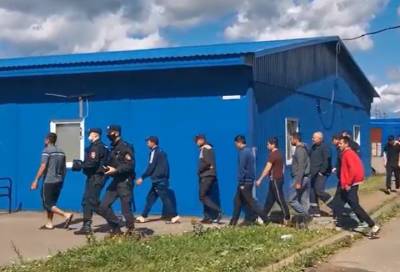 Полицейские провели рейд по поиску нелегальных мигрантов в Кингисеппском районе - online47.ru - Россия - Ленинградская обл. - Санкт-Петербург - Таджикистан