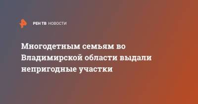 Многодетным семьям во Владимирской области выдали непригодные участки - ren.tv - Владимирская обл.
