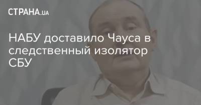Ростислав Кравец - НАБУ доставило Чауса в следственный изолятор СБУ - strana.ua - Украина - Киев - Винницкая обл. - Кишинев