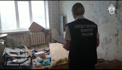 Ульяновским делом «голых малышей в окне» занялся следком РФ и лично Бастрыкин - ulpravda.ru - Россия - Ульяновск - Ульяновская