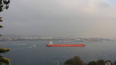 Саид Хатибзаде - Захватившие танкер Asphalt Princess в Османском заливе покинули судно - mir24.tv - Иран - Эмираты - Панама