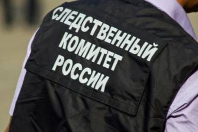Уголовное дело возбудили в Забайкалье из-за схода вагонов на перегоне Алеур — Бушулей - chita.ru - Забайкальский край - Чита