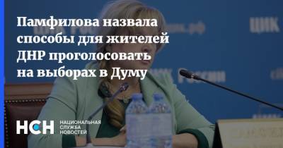 Элла Памфилова - Памфилова назвала способы для жителей ДНР проголосовать на выборах в Думу - nsn.fm - Луганская обл. - ДНР - Ростовская обл.