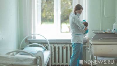 На Камчатке семимесячную девочку забрали от избивших ее родителей - newdaynews.ru - Камчатская обл.