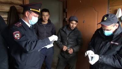 Елена Вахтина - Под Челябинском возбудили дело на владельцев заброшенных огуречных теплиц - znak.com - Челябинская обл. - Челябинск - район Красноармейский