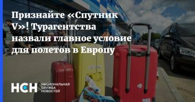 Признайте «Спутник V»! Турагентства назвали главное условие для полетов в Европу - nsn.fm - Россия