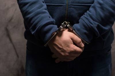 Полиция задержала мошенника, обманувшего пенсионерку на 170 тысяч рублей в Петербурге - spb.mk.ru - Россия - Санкт-Петербург
